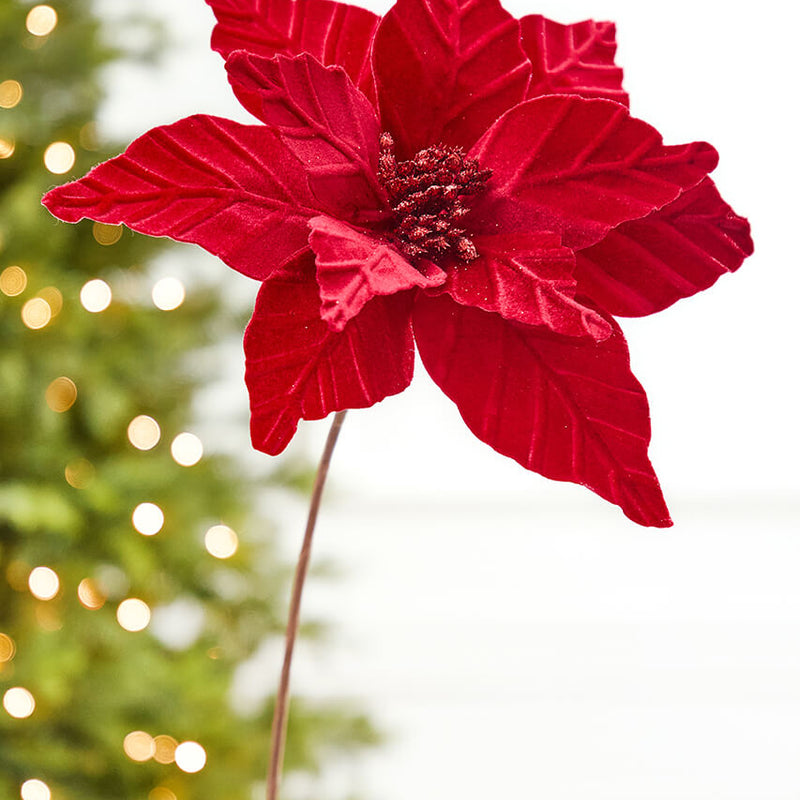 24" x 12" Red Velvet Glitter Center Poinsettia Stem