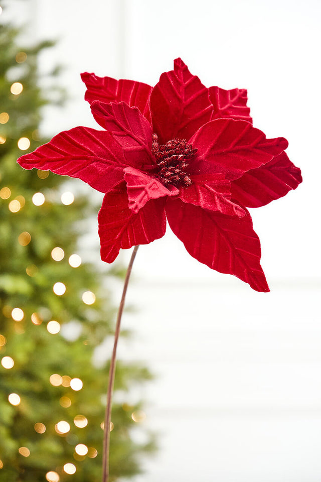 24" x 12" Red Velvet Glitter Center Poinsettia Stem