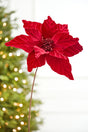 24" x 12" Red Velvet Glitter Center Poinsettia Stem