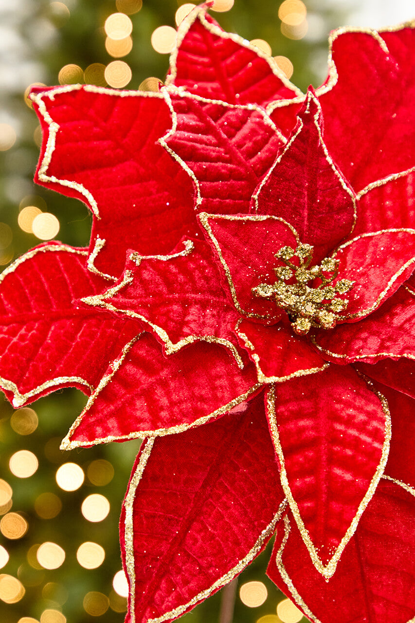 19" x 14" Red & Gold Poinsettia Stem