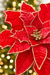 19" x 14" Red & Gold Poinsettia Stem