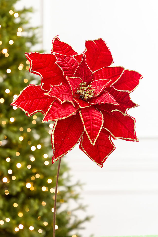 19" x 14" Red & Gold Poinsettia Stem