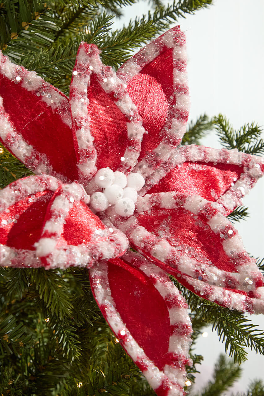 22 Inch Red & White Candy with Snow Glitter Poinsettia Stem