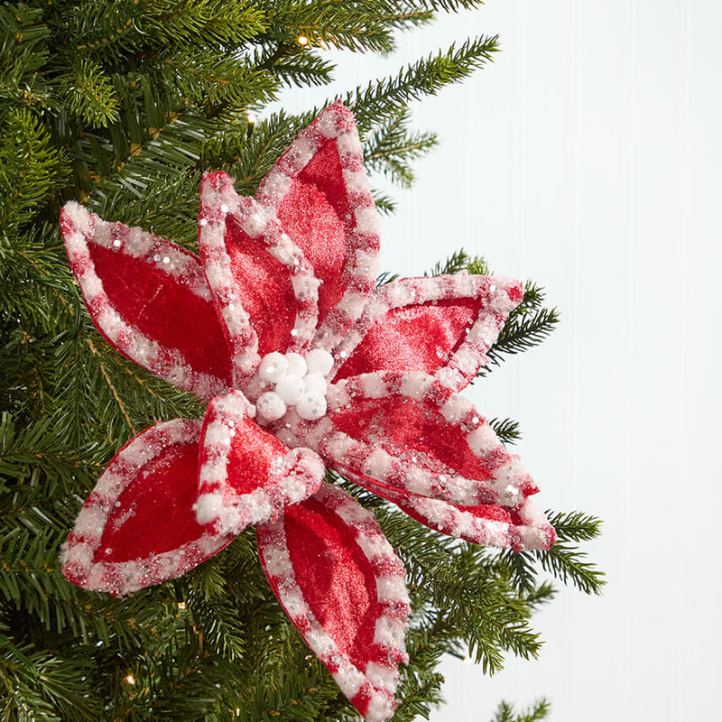 22" Red & White Candy with Snow Glitter Poinsettia Stem