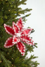 22" Red & White Candy with Snow Glitter Poinsettia Stem