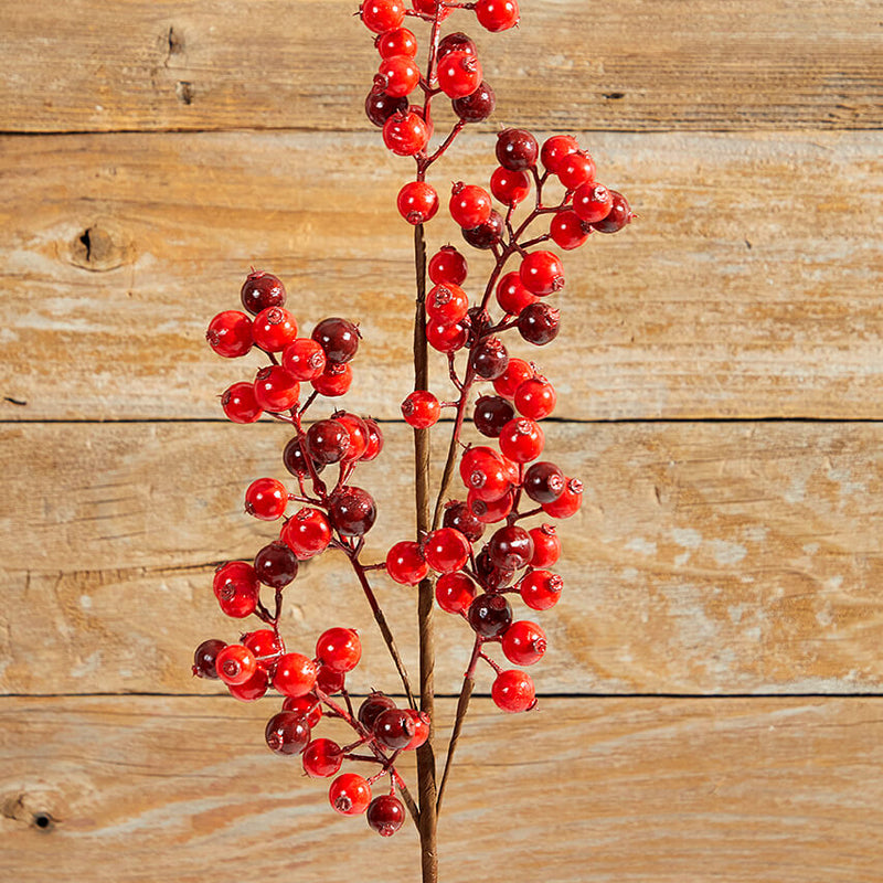 27" WP Berry Spray X 5