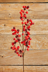 27" WP Berry Spray X 5