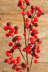 27" WP Berry Spray X 5