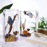 রজন সিলিকন ছাঁচ - আয়তক্ষেত্র