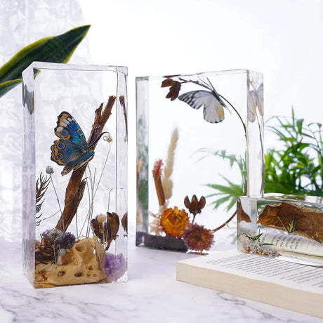 রজন সিলিকন ছাঁচ - আয়তক্ষেত্র