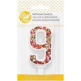 Wilton Sprinkle on the Birthday Fun Number 9 Birthday Candle