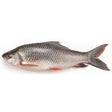 Rohu Fish Steak