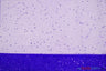 Tulle Glitter With Sequins Polyester Fabric - Glitter Embellished Sheer Tulle, Multiple Colors, 58/60" Width (1 Yard)