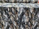 Stretch Spandex Snake Print Fabric
