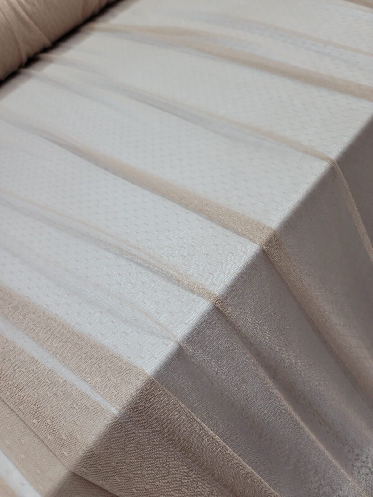 Embroidered Polka Dot Mesh Fabric Beige Champagne
