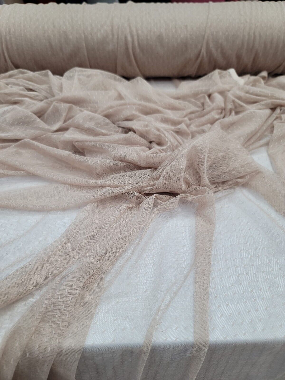 Embroidered Polka Dot Mesh Fabric Beige Champagne