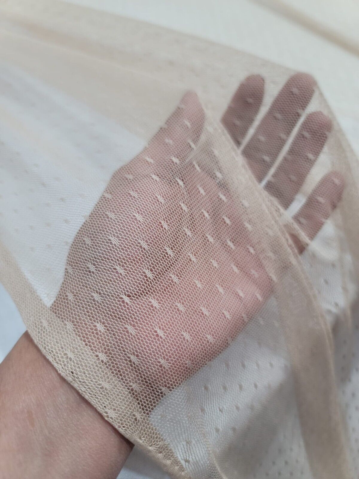 Embroidered Polka Dot Mesh Fabric Beige Champagne