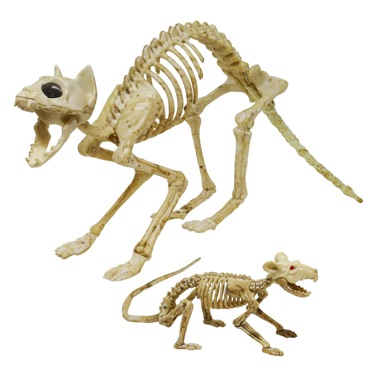 Skeleton Cat Halloween Decoration – 18" x 5.5" x 10.25"