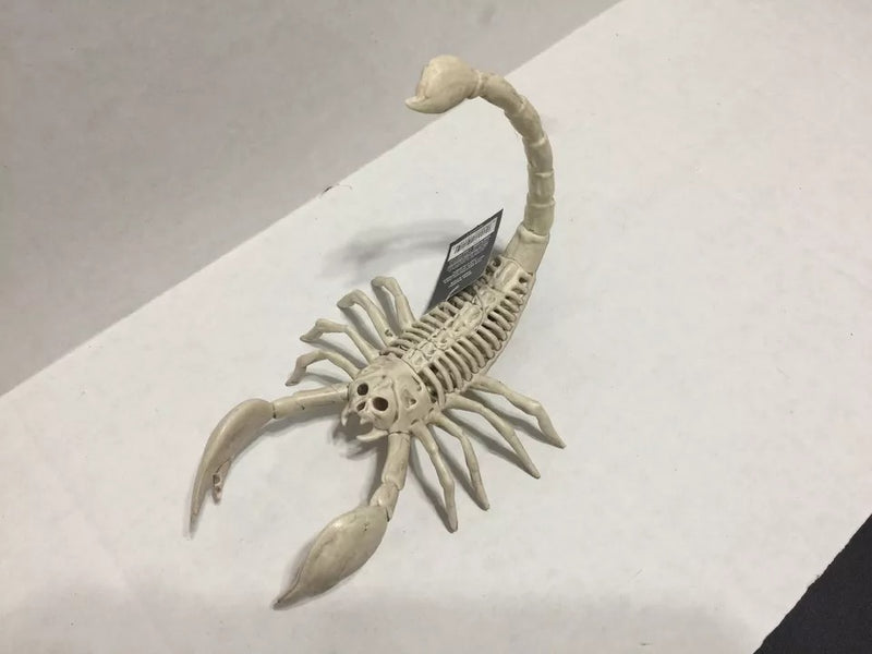 Skeleton Scorpion Halloween Decoration, 9 in.