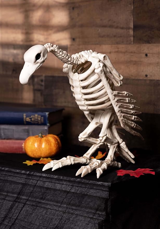 Skeleton Vulture Halloween Decoration, 10 x 17 x 5 in