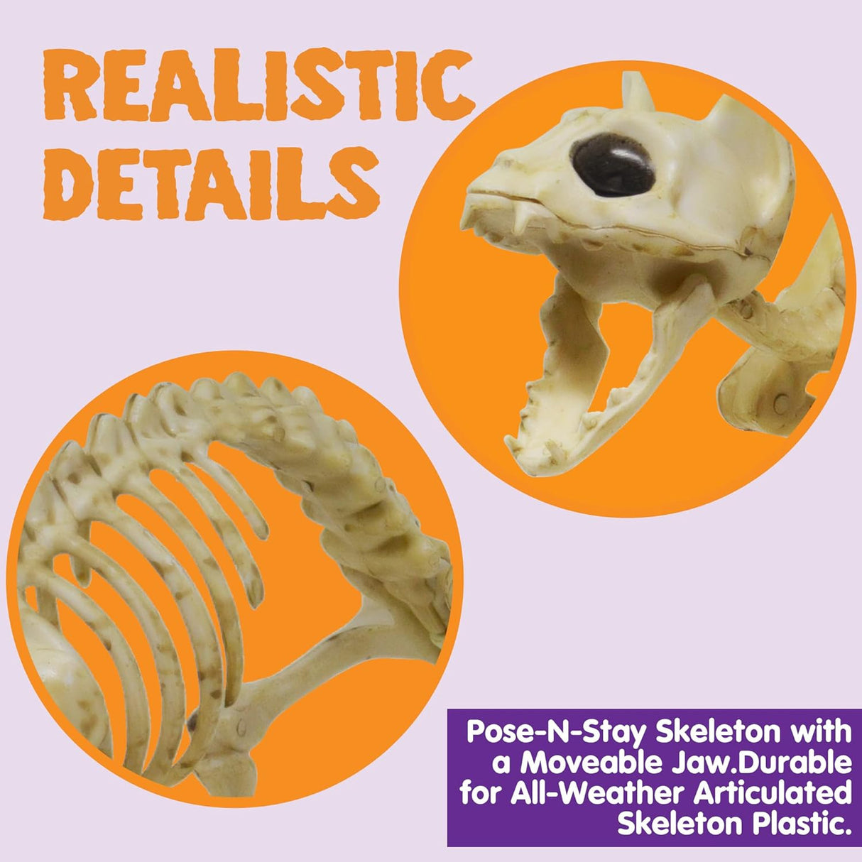 Skeleton Cat Halloween Decoration – 18" x 5.5" x 10.25"