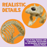 Skeleton Cat Halloween Decoration – 18" x 5.5" x 10.25"