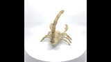 Skeleton Scorpion Halloween Decoration, 9 in.