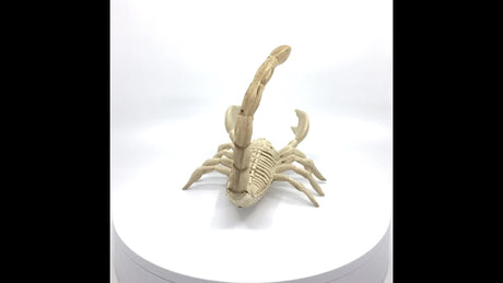 Skeleton Scorpion Halloween Decoration, 9 in.