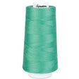 Cotton Thread Winter Green Signature