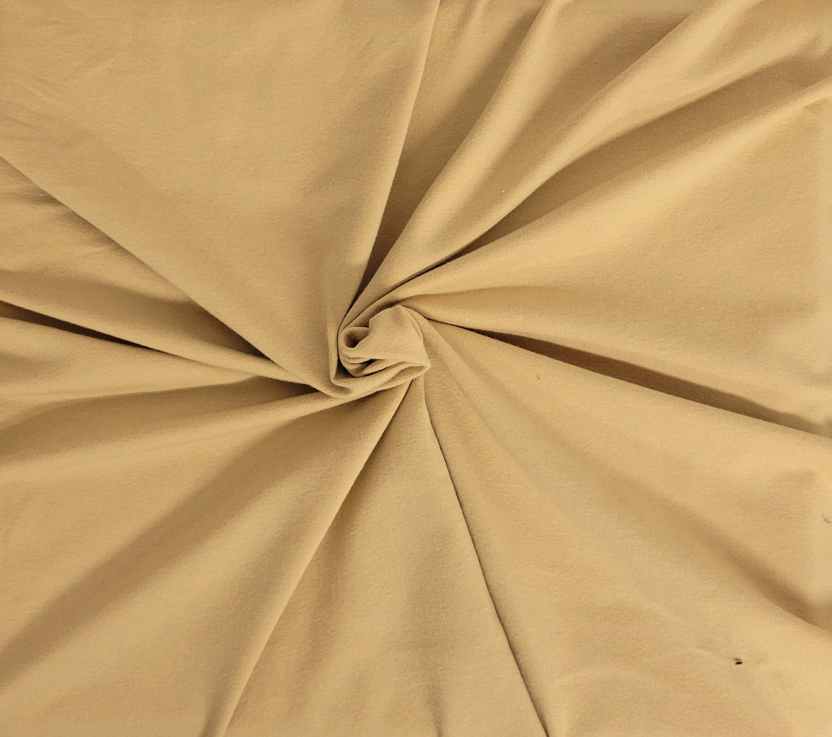 Cotton Spandex Jersey Champagne