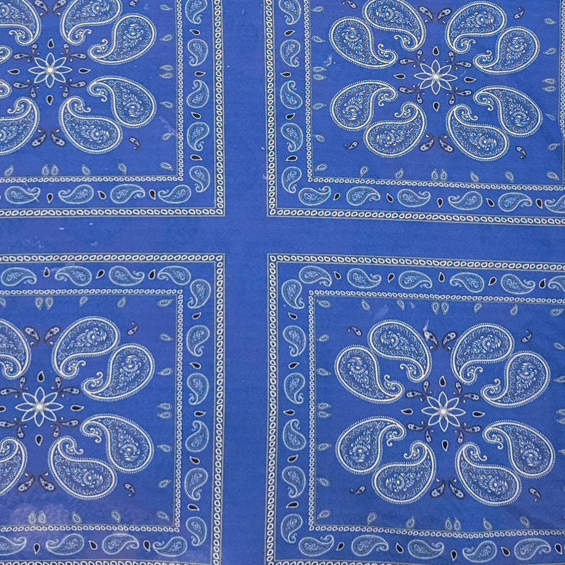 Paisley Print Stretch Mesh Blue