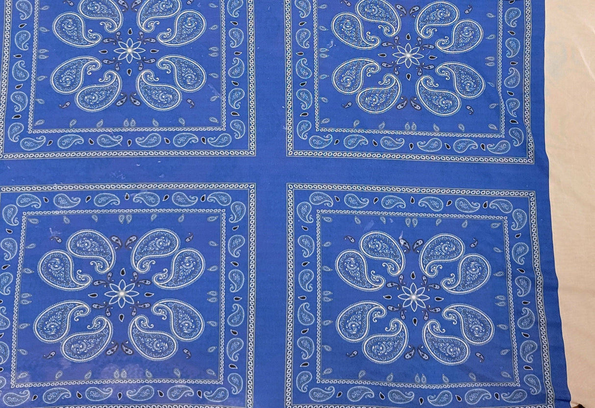 Paisley Print Stretch Mesh Blue
