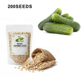 SMR 58 Cucumber Seeds Non GMO Vigorous Standard Pickling Cucumber Country Creek Acres