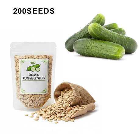 SMR 58 Cucumber Seeds Non GMO Vigorous Standard Pickling Cucumber Country Creek Acres