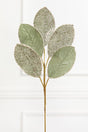 25" Sage Magnolia Leaf Stem