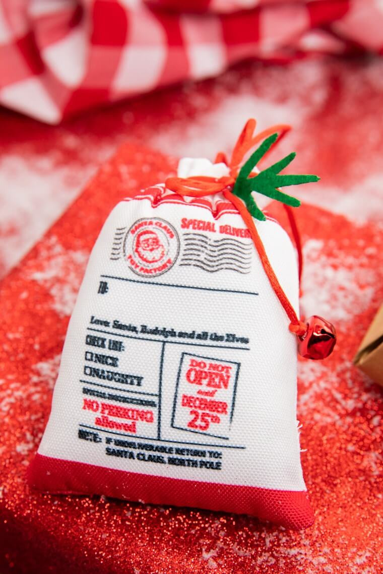 5" Special Delivery Sack Ornament Christmas Decor