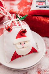 5" Special Delivery Sack Ornament Christmas Decor