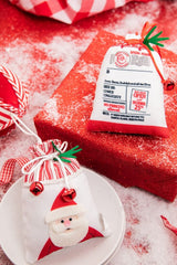 5" Special Delivery Sack Ornament Christmas Decor