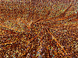 All-Over 5Mm Shiny Sequins Stretch Velvet Fabric - Sequins On Velvet, 54" Width (1 Yard)