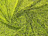 All-Over 5Mm Shiny Sequins Stretch Velvet Fabric - Sequins On Velvet, 54" Width (1 Yard)