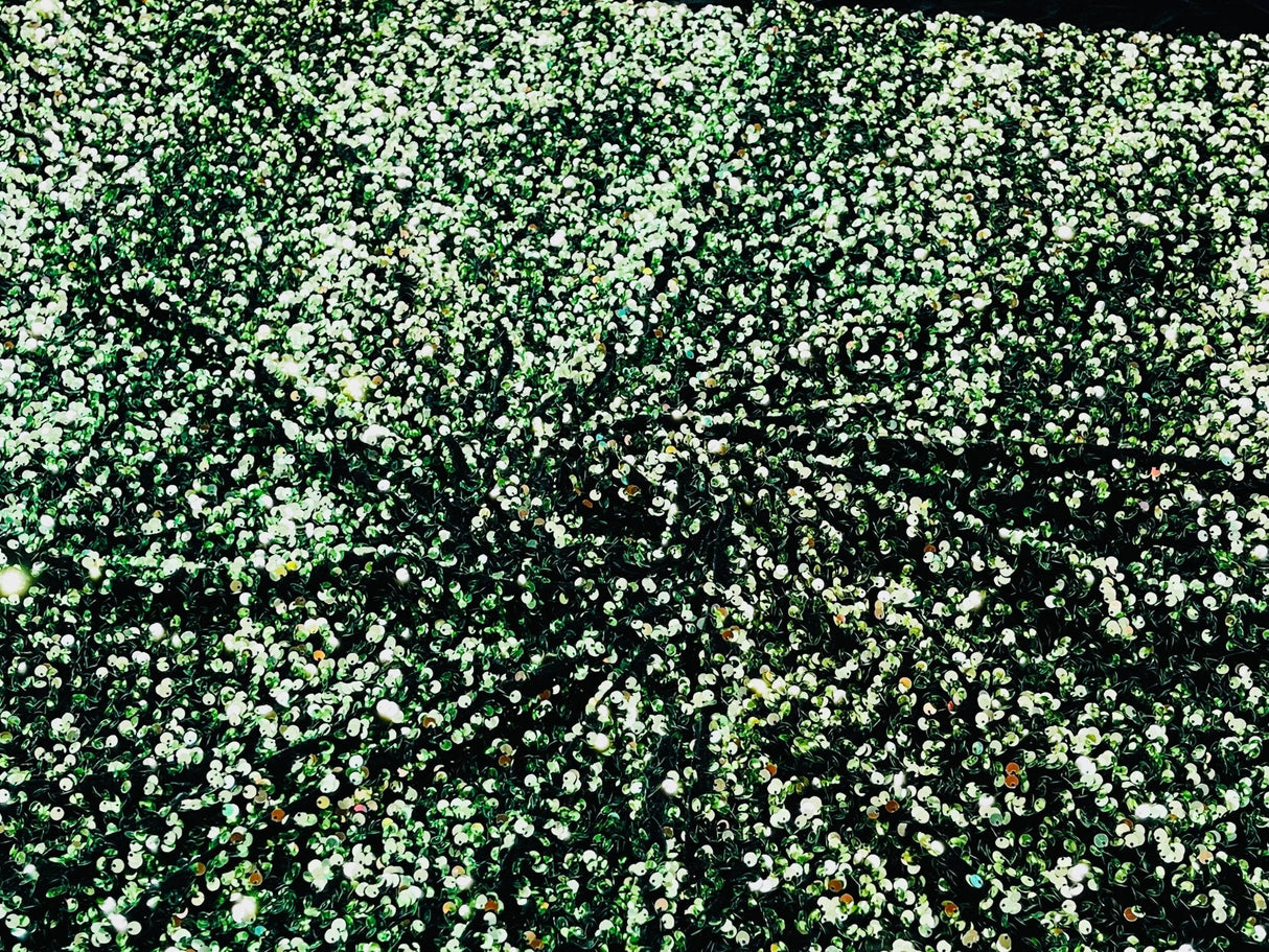 All-Over 5Mm Shiny Sequins Stretch Velvet Fabric - Sequins On Velvet, 54" Width (1 Yard)
