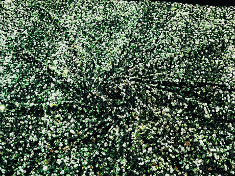 All-Over 5Mm Shiny Sequins Stretch Velvet Fabric - Sequins On Velvet, 54" Width (1 Yard)