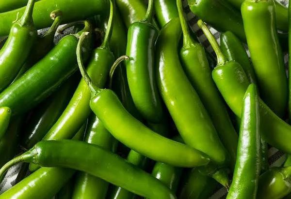 Serrano Pepper
