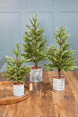 19 Inch –29 Inch Christmas Pine Tree Set of 3