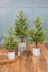 19"-29" Christmas Pine Tree - Set of 3