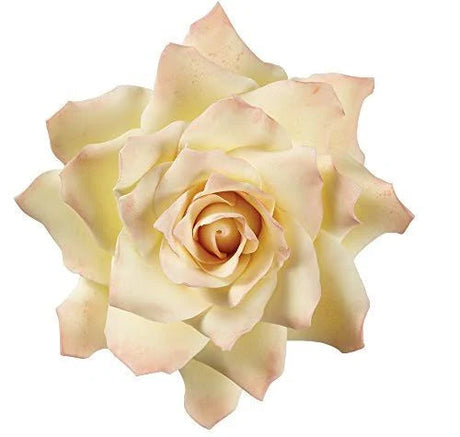 Wilton Gum Paste Succulents Cut-Outs Set, 9-Piece