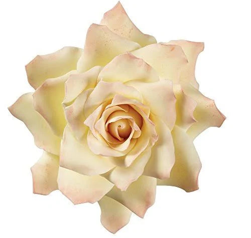 Wilton Gum Paste Succulents Cut-Outs Set, 9-Piece
