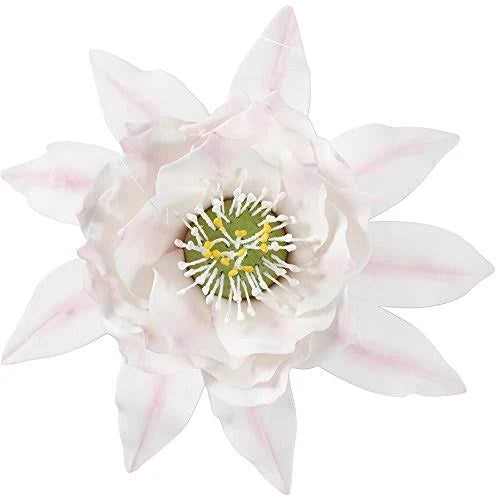 Wilton Gum Paste Succulents Cut-Outs Set, 9-Piece