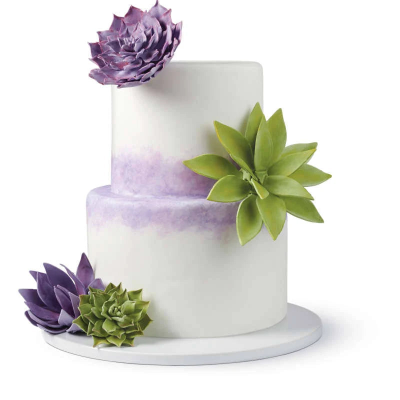 Wilton Gum Paste Succulents Cut-Outs Set, 9-Piece