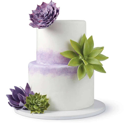Wilton Gum Paste Succulents Cut-Outs Set, 9-Piece